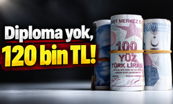 Diplomasız en çok kazandıran meslekler açıklandı: Maaş 120 bin TL’ye çıkıyor