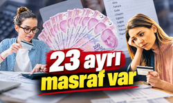 Kredi kartında 23 ayrı masraf kalemi: Aidatsız kart yetmiyor
