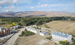 Arpalı'da doğal gaz dönemi başlıyor
