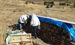 Tunceli'de yüzyıllık arıcılık geleneği yaşatılıyor