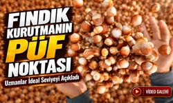 Fındık Kurutmanın Püf Noktası; Uzmanlar İdeal Seviyeyi Açıkladı
