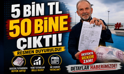 Ruhsatta kamyonet, vergi sisteminde panelvan çıktı: Borç 50 bin TL oldu