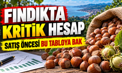 Fındık Fiyatları Şaşırttı: Satmadan Önce Bu Listeye Bakın