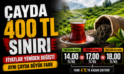 Çay Fiyatlarında Son Durum: 1 Kiloda 400 TL Sınırı Göründü