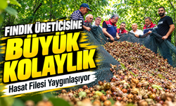 Fındık hasadında file kullanımı işçi maliyetlerini düşürüyor
