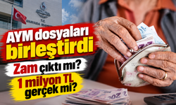 Emekliye seyyanen zamda kritik gelişme: AYM dosyaları birleştirdi