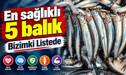 En sağlıklı balıklar açıklandı: 5 tür düşük cıvasıyla öne çıktı