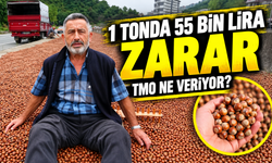 Fındıkta Makas Açıldı: Üretici 1 Tonda 55 Bin Lira İçin TMO’ya Koşuyor