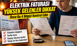 Elektrik faturası neden yüksek gelir? İtirazda bu detaylara dikkat