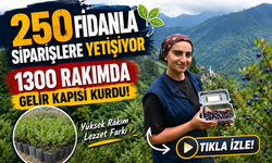1300 Rakımda Gelir Kapısı Kurdu: 250 Fidanla Siparişlere Yetişiyor