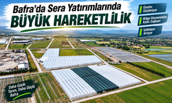 Bafra Sera Organize Tarım Bölgesi’nde doluluk yüzde 85’e ulaştı