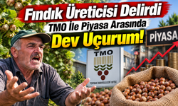 Fındık piyasasında büyük fark: Üretici TMO’ya yöneliyor