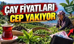 Çay fiyatlarında son durum: 1 kilogramlık paketler cep yakıyor