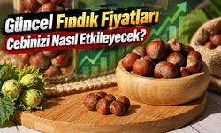 Satışa Çıkmadan Önce Son Bir Kontrol: Fındık Fiyatları İl İl Ne Durumda?