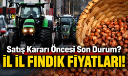 Satışa Hazırlanan Üretici, Fındık Fiyatları Tablosunu İncelemeli