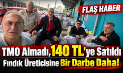 Arsin’de Fındık Üreticisine TMO Şoku: Ürün 140 TL’ye Gitti