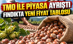 Fındık Fiyatlarında Makas Açıldı: İl İl Son Rakamlar Belli Oldu