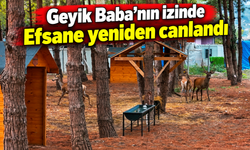 Samsun’da efsane yeniden canlandı: Geyikler ziyaretçileri karşılıyor