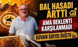 Doğu Karadeniz’de Bal Hasadı Arttı: Beklenti Yine Karşılanmadı