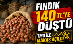 Fındık Fiyatlarında Büyük Makas: Bazı İllerde 140 TL’ye Düştü