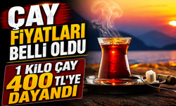 4 Eylül Çay Fiyatları Belli Oldu: 1 Kiloluk Paketlerde Büyük Fark