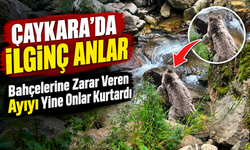 Çaykara’da Dereye Düşen Yavru Boz Ayıyı Vatandaşlar Kurtardı