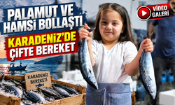 Karadeniz’de Çifte Bereket: Palamut ve Hamsi Aynı Anda Bollaştı