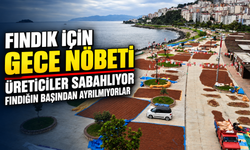 Giresun’da Fındık İçin Gece Nöbeti: Üreticiler İmeceyle Bekliyor