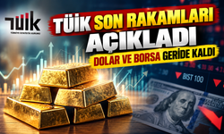TÜİK Açıkladı: Ağustosta En Çok Kazandıran Yatırım Aracı Belli Oldu