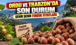 Fındığını satacaklar dikkat: Şehir şehir güncel fiyatlar