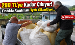 Fındıkta Randıman Fiyatı Yükseltiyor: 280 Tl’ye Kadar Çıkıyor