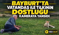 Bayburt’ta vatandaş ile tilkinin dostluğu kameraya yansıdı