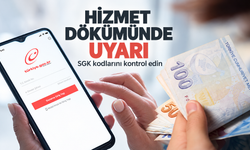 E-Devlet hizmet dökümündeki K, S ve Ş harfleri ne anlama geliyor?