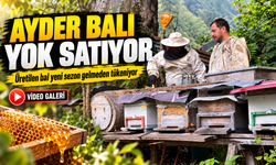 Ayder Balı Yok Satıyor; Üretilen bal yeni sezon gelmeden tükeniyor