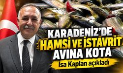 Karadeniz’de hamsi ve istavrit avına kota; İsa Kaplan açıkladı