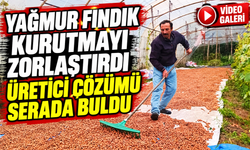 Karadeniz'de Yağmur Fındık Kurutmayı Zorlaştırdı Üretici Çözümü Serada Buldu!