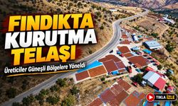 Giresun’da Fındık Kurutma Telaşı Sürüyor: Üreticiler Güneşli Bölgelere Yöneldi