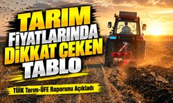 Tarım Fiyatlarında Dikkat Çeken Tablo; TÜİK Tarım-ÜFE Raporunu Açıkladı