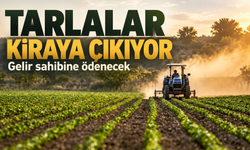 2 Yıldır İşlenmeyen tarım arazileri kiraya çıkıyor: Kimler, nasıl kiralayabilecek?