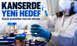 Kanser araştırmasında yeni hedef: Genomdaki küçük proteinler