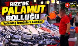Karadeniz’den Kasalar Dolusu Palamut Geldi: Vatandaş Tezgâhlara Akın Etti