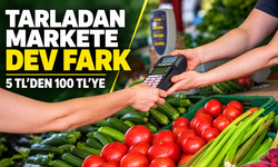 Limon Fiyatında Büyük Makas: Tarladan Markete Fiyat Nasıl Artıyor?