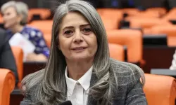 Sibel Suiçmez’den genç işsizliği çıkışı: Eğitimli nüfusun istihdam sorununa dikkat çekti