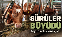TÜİK Haziran 2026 verilerini yayımladı: Küçükbaşta dikkat çeken yükseliş