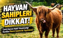 Hayvan Sahipleri Dikkat!; Canlı Hayvan Nakil Yönetmeliği Kuralları Resmi Gazete’de Yayımlandı