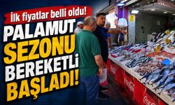 Palamut sezonu bereketli başladı: İlk Fiyatlar Belli Oldu!