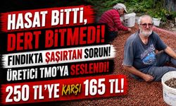 Trabzon’da Foşa Fındığı Hasadı Bitti: Üreticinin Gözü Şimdi TMO’da