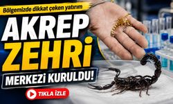 Bafra’da Dikkat Çeken Merkez: Akrep Zehri İçin AR-GE Başlıyor