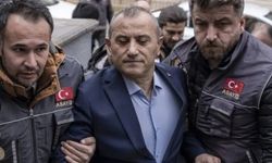 Gülistan Doku Soruşturmasında Çarpıcı İfade: “Olayı Gördüm”