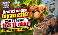 Fındıkta büyük fiyat uçurumu: TMO’dan dönen ürün 165 TL’ye kadar düşüyor